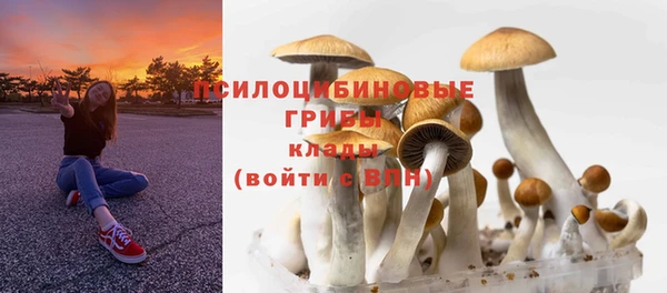 не бодяженный Володарск